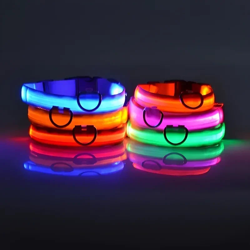 LED Dog Collar | Night Safety Glow