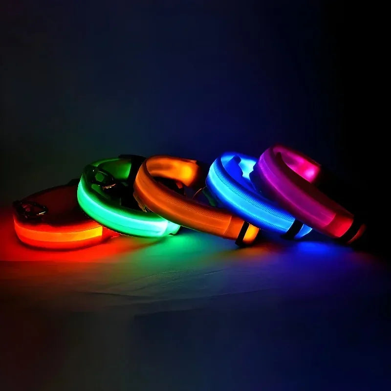 LED Dog Collar | Night Safety Glow