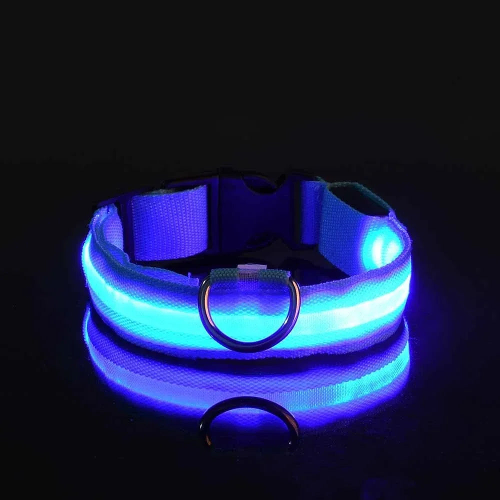 LED Dog Collar | Night Safety Glow