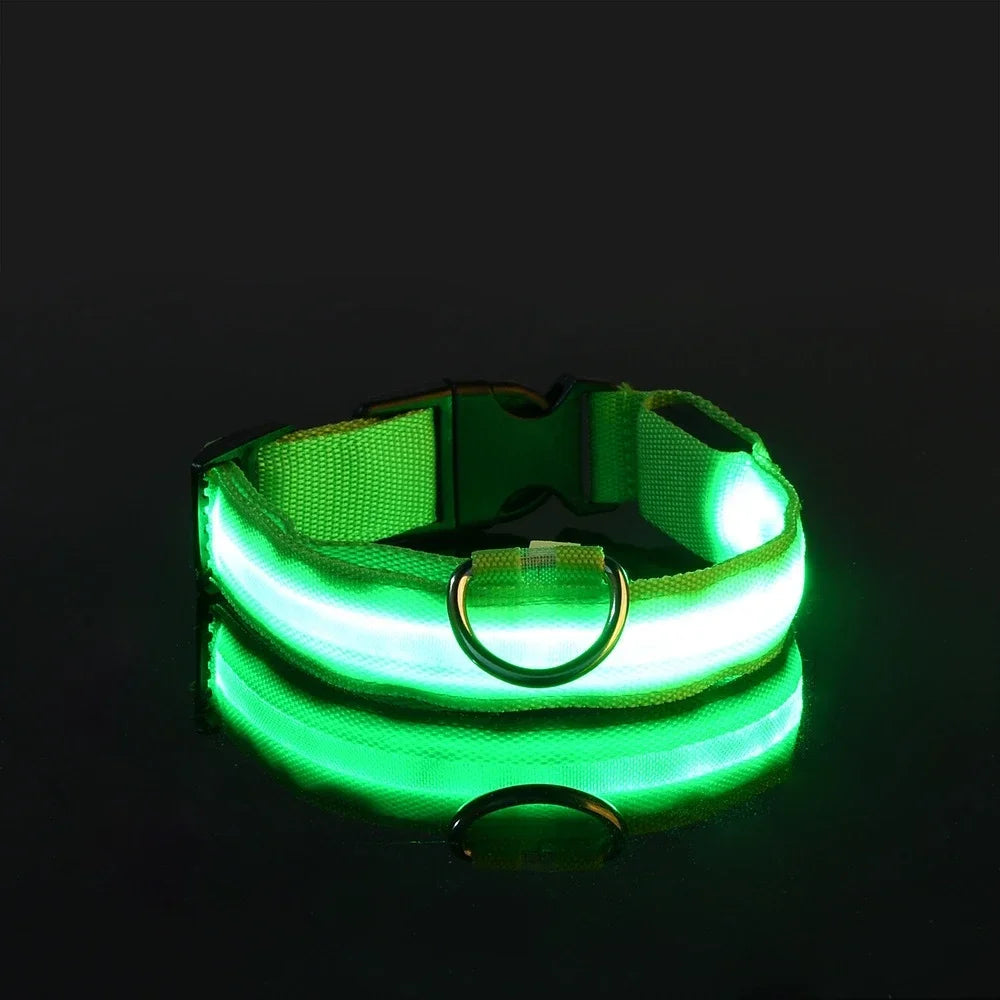 LED Dog Collar | Night Safety Glow