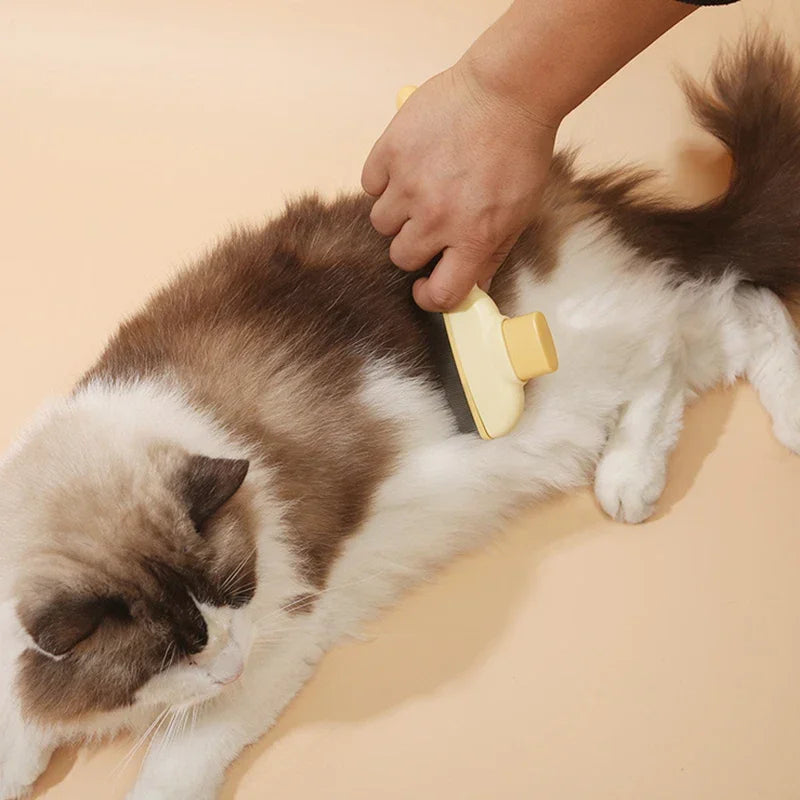 Pet Hair Removal Comb