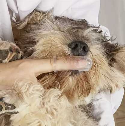 Pet Toothbrush
