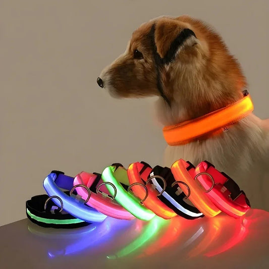 LED Dog Collar | Night Safety Glow