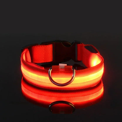LED Dog Collar | Night Safety Glow