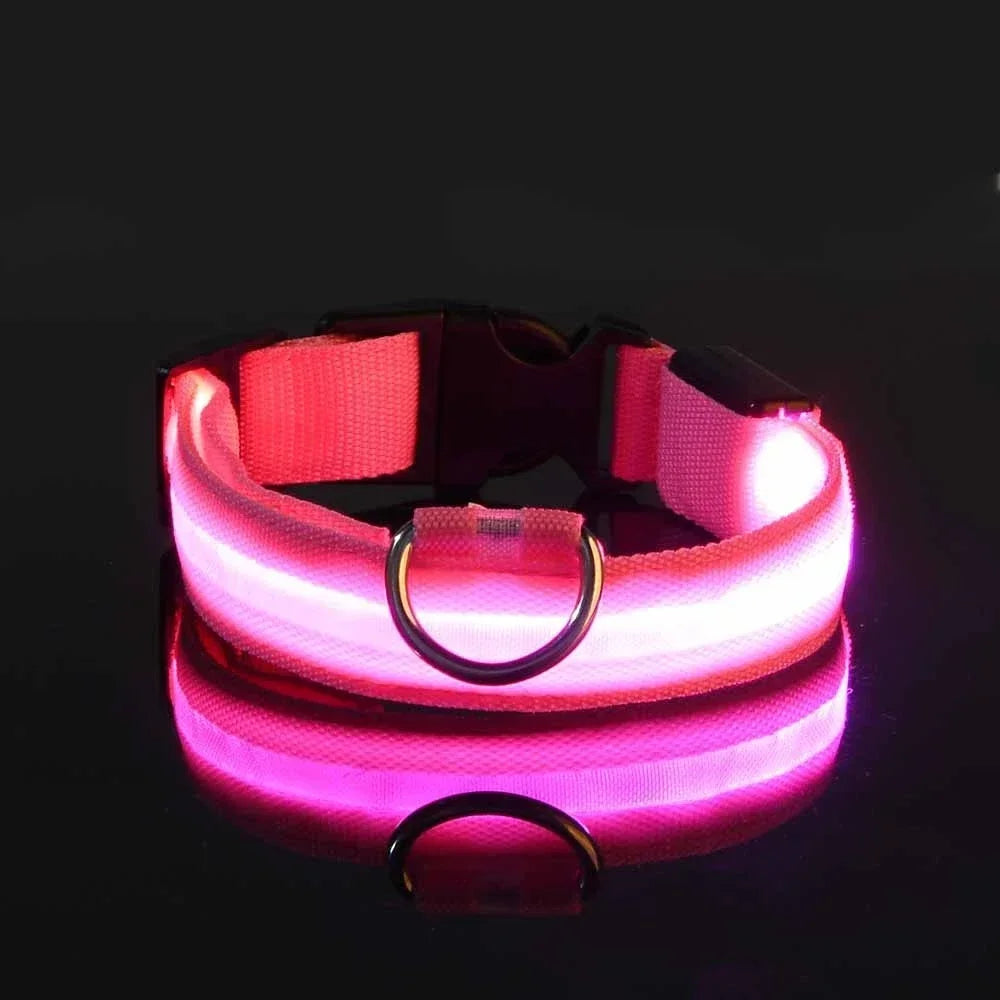 LED Dog Collar | Night Safety Glow