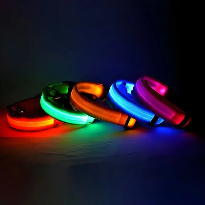 LED Dog Collar | Night Safety Glow