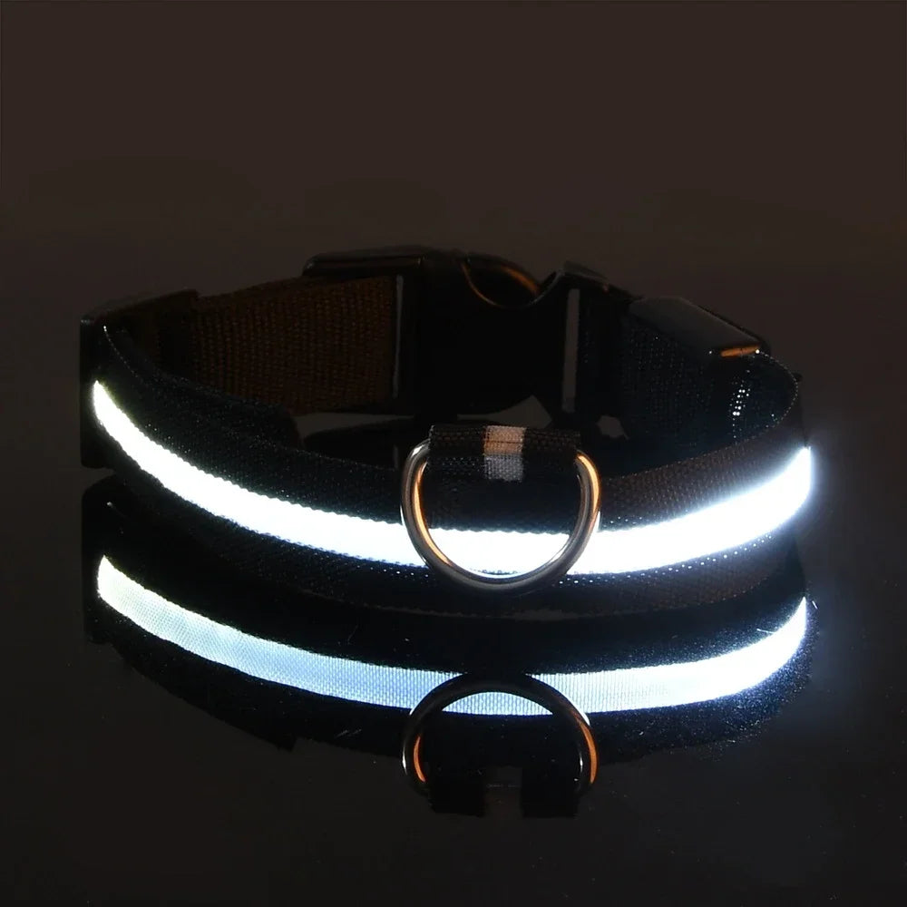 LED Dog Collar | Night Safety Glow