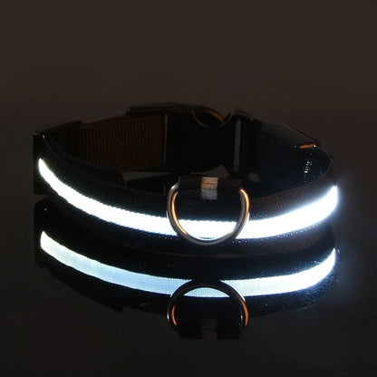 LED Dog Collar | Night Safety Glow