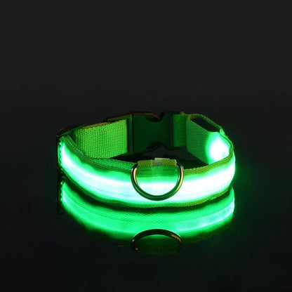 LED Dog Collar | Night Safety Glow