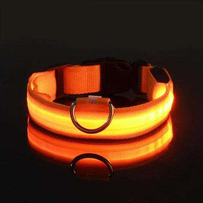 LED Dog Collar | Night Safety Glow